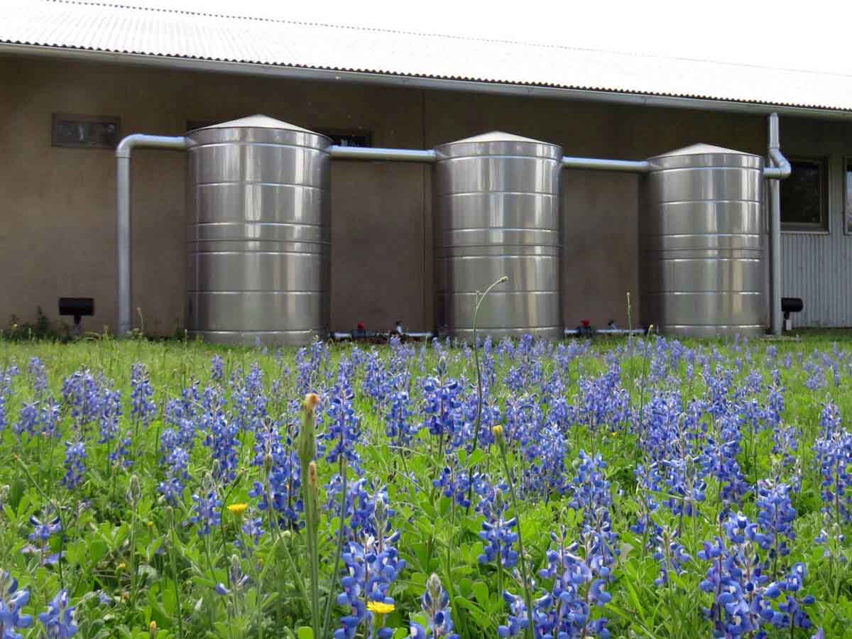 Stainless steel rainwater tank outside a building near a field of blue bonnets.