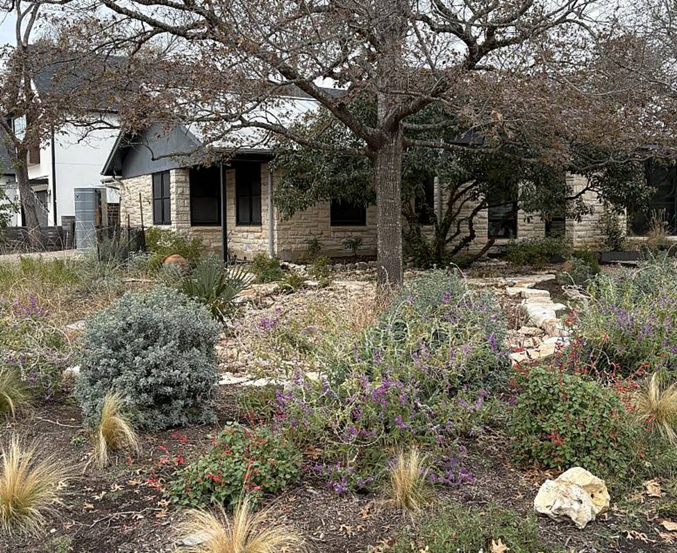 A rain garden in Austin supplemented by Texas Metal Tank rainwater cistern